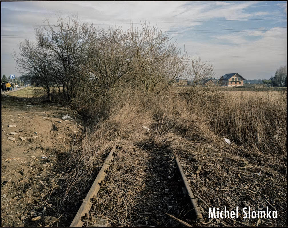 A propos de  Birkenau / Michel Slomka 1