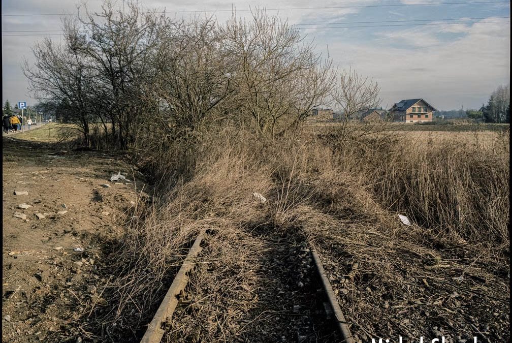 A propos de  Birkenau / Michel Slomka